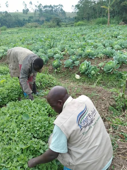 SÉCURITÉ ALIMENTAIRE ET CHAINES DE VALEURS